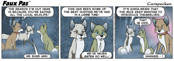 Strip #3040